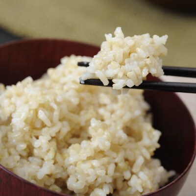 玄米2種食べ比べセット!ツヤツヤふっくらの「きぬむすめ」&もっちり甘い「しきゆたか」各5kg