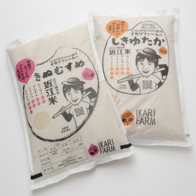 白米2種食べ比べセット!ツヤツヤふっくらの「きぬむすめ」&もっちり甘い「しきゆたか」各5kg