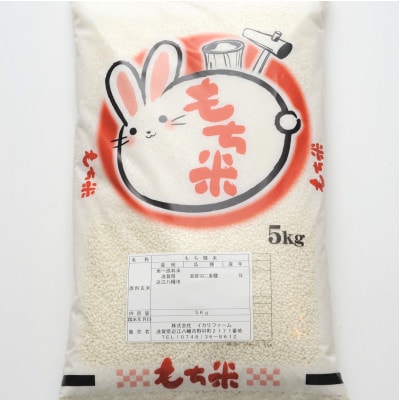 抜群の粘り・伸び・コシ!キメも細かく滑らかなもち米!「滋賀羽二重糯」5kg
