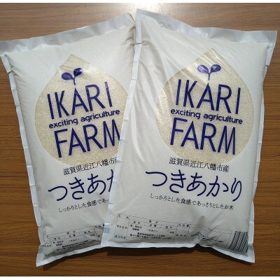 【令和6年産】つきあかり白米10kg(5kg×2袋)　「大粒でしっかりした食感」　近江米