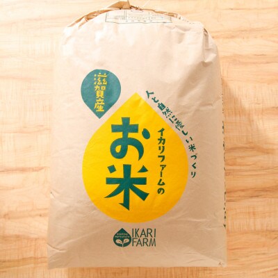 【令和6年産】つきあかり白米30kg(30kg×1袋)　「大粒でしっかりした食感」　近江米