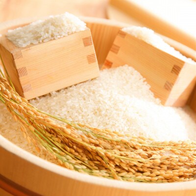 【令和6年産】つきあかり白米30kg(30kg×1袋)　「大粒でしっかりした食感」　近江米