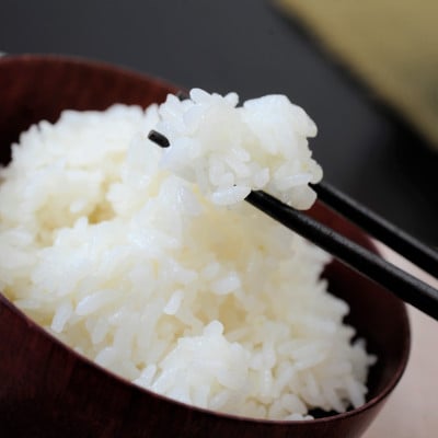 【令和6年産】つきあかり白米30kg(30kg×1袋)　「大粒でしっかりした食感」　近江米