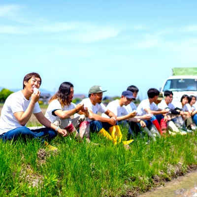 【令和6年産】大粒で食べ応えあり にじのきらめき白米10kg(5kg×2【滋賀県近江八幡市・近江米】