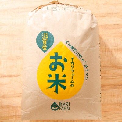 【令和6年産】大粒で食べ応えあり「にじのきらめき」白米30kg　【滋賀県近江八幡市・近江米】