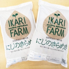 【令和5年産】大粒で食べ応えあり「にじのきらめき」玄米10kg(5kg&times;2) 【滋賀県近江八幡市】