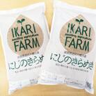 【令和7年産】大粒で食べ応えあり「にじのきらめき」玄米10kg(5kg×2)　【滋賀県近江八幡市】