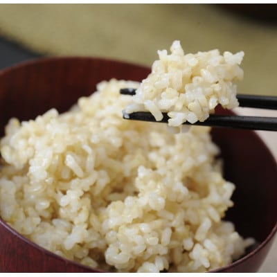 【令和6年産】大粒で食べ応えあり「にじのきらめき」玄米10kg(5kg×2)　【滋賀県近江八幡市】