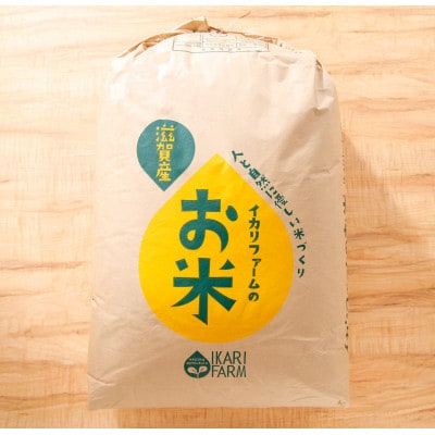 【令和6年産】大粒で食べ応えあり「にじのきらめき」玄米30kg　【滋賀県近江八幡市・近江米】