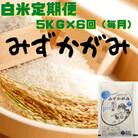 【毎月定期便】みずかがみ　白米　5kg　【環境こだわり農産物認定の近江米】全6回