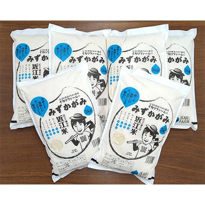 【毎月定期便】みずかがみ　白米　5kg　【環境こだわり農産物認定の近江米】全6回
