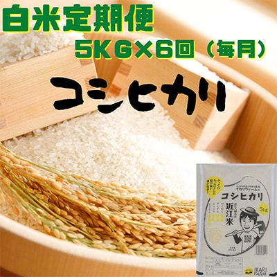 2023年7月発送開始『定期便』コシヒカリ　白米　5kg(毎月お届け)全6回