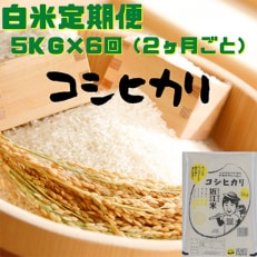 2023年5月発送開始『定期便』コシヒカリ　白米　5kg(隔月お届け)全6回