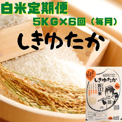 2023年3月発送開始『定期便』【お米定期便】しきゆたか　白米　5kg×6回(毎月お届け)全6回