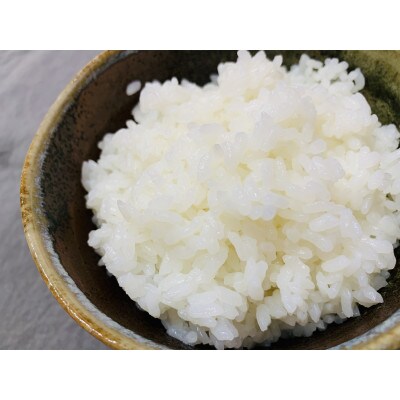 令和7年産　近江米【秋の詩 10kg】環境こだわり米