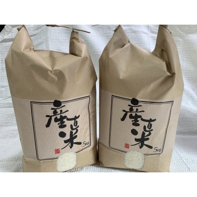 令和6年産　近江米【みずかがみ10kg】環境こだわり米
