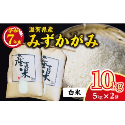 令和7年産　近江米【みずかがみ10kg】環境こだわり米