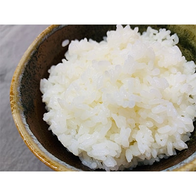 【毎月定期便】お米の定期便【コシヒカリの会】10kg(全3回)
