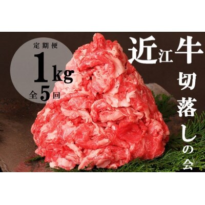 【毎月定期便】【数量限定】【近江牛 切落しの会】1kg(500g×2)全5回