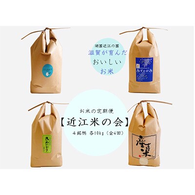 2023年2月発送開始『定期便』令和4年産  お米の定期便【近江米の会】10kg全4回