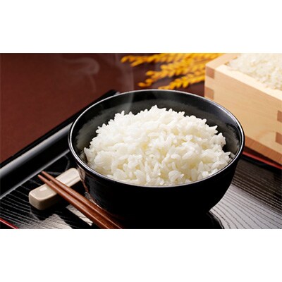 2023年1月発送開始『定期便』令和4年産 【コシヒカリの会 】10kg 全6回
