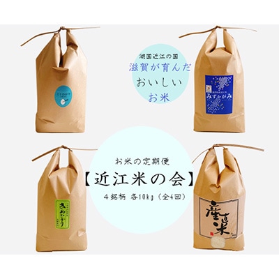 2023年9月発送開始『定期便』お米の定期便【近江米の会】10kg　全4回