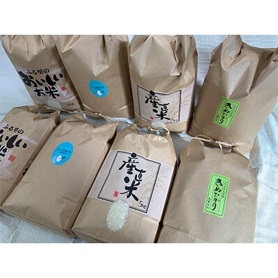 2023年9月発送開始『定期便』お米の定期便【近江米の会】10kg　全4回