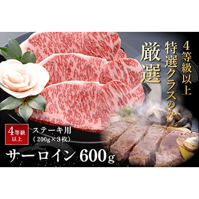 【4等級以上の未経産牝牛限定】近江牛サーロインステーキ【600g(200g×3枚)】