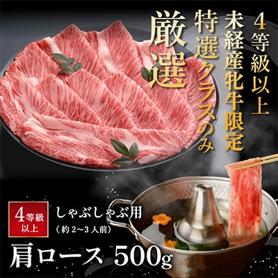 【4等級以上の未経産牝牛限定】近江牛肩ロースしゃぶしゃぶ 【500g】【AF06SM1】