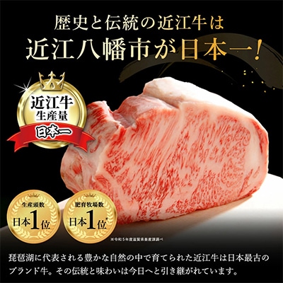 厳選　近江牛　カルビ　焼肉【500g】