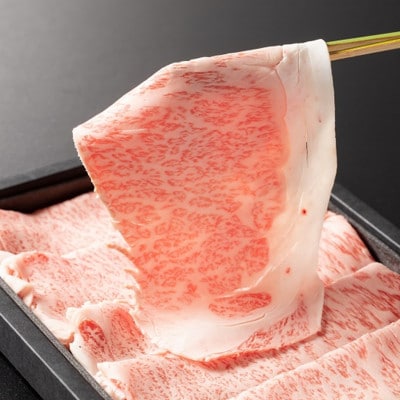 Art Beef Gallery『凱風快晴』近江牛A5ランクサーロイン【500g】