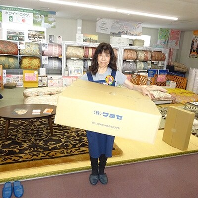 希少羽毛　アイダーダックダウン95% 300g入り　羽毛肌ふとん「セーヌ」　春夏用　ピンク