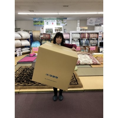 エジプト綿入り肌掛ふとん　ブルー1枚