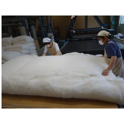 ふとん打ち直し　天然防ダニアロエ加工生地　ミスティ　2枚組