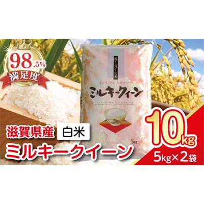 【令和7年産】近江米ミルキークイーン　精米　5kg×2袋
