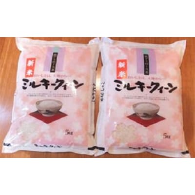 【令和7年産】近江米ミルキークイーン　精米　5kg×2袋