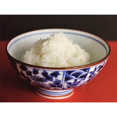 【令和7年産】近江米ミルキークイーン　精米　5kg×2袋