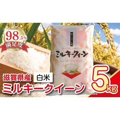 【令和7年産】近江米ミルキークイーン　精米　5kg