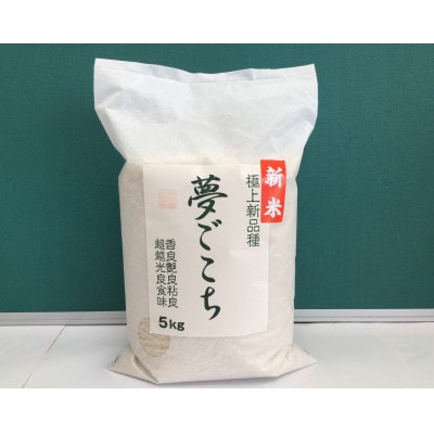 【令和7年産】近江米夢ごこち　精米　5kg