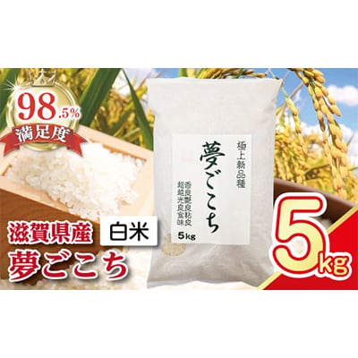 【令和7年産】近江米夢ごこち　精米　5kg