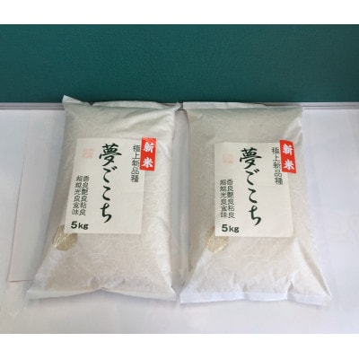 【令和7年産】近江米夢ごこち　精米　5kg×2袋