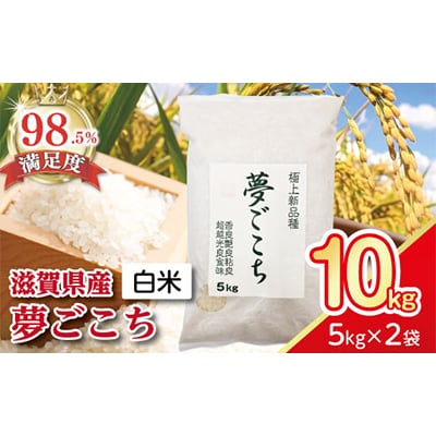 【令和7年産】近江米夢ごこち　精米　5kg×2袋