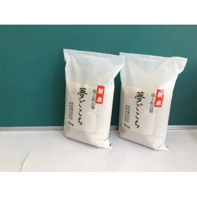 【令和7年産】近江米夢ごこち　精米　5kg×2袋