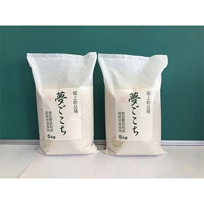 【令和7年産】近江米夢ごこち　精米　5kg×2袋