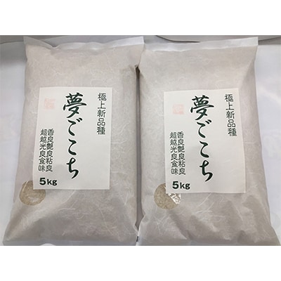 【令和7年産】近江米夢ごこち　精米　5kg×2袋
