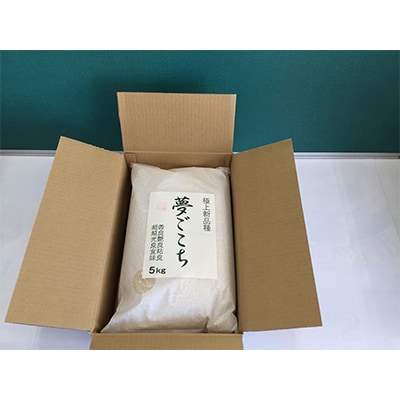 【令和7年産】近江米夢ごこち　精米　5kg×2袋