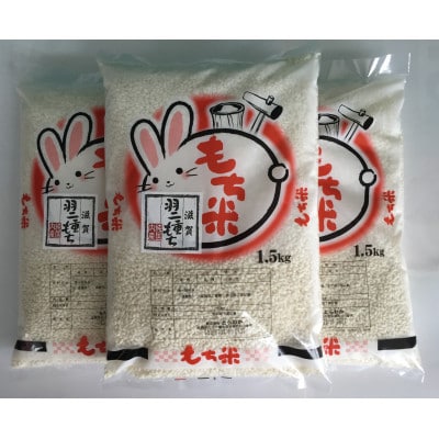【令和7年産】滋賀羽二重もち米　1.5kg×3袋