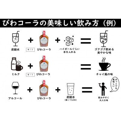 びわコーラ　クラフトコーラシロップ3本セット