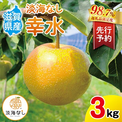 【先行予約】【数量限定】淡海なし　幸水　3kg箱入り(サイズ:2L～7L　5～10個入り)