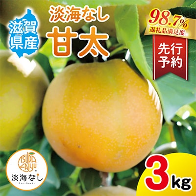 【先行予約】【数量限定】淡海なし　甘太　3kg箱入り(サイズ:2L～7L　5～10個入り)